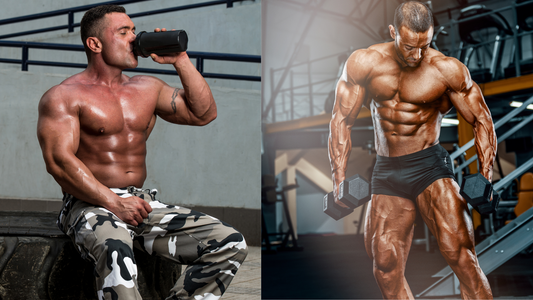 The Ultimate Guide to Bulking vs. Cutting