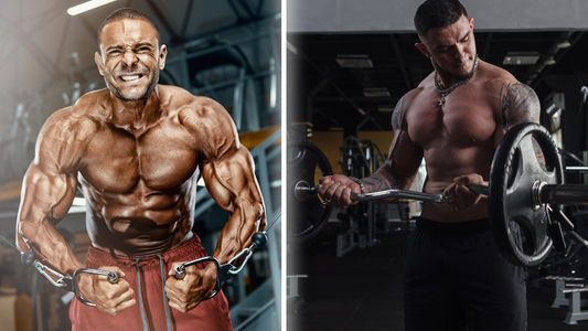 Winter Bulking Guide: From Shredding to Bulking – How to Pack on Muscle Without the Extra Fat